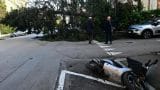 Tragedia sfiorata: il vento devasta la città tra alberi sradicati e semafori in tilt